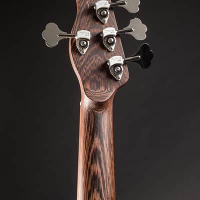 Alien Audio PP 5-String w/HSC image 11