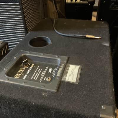Peavey 210 TX 350-Watt (175W RMS) 4 Ohm 2x10 Bass Speaker Cabinet 1990s Black Carpet image 2