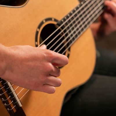 Ortega R122-3/4 Family Series Cedar Top Mahogany Neck 3/4-Size Nylon 6-String Classical Acoustic Guitar w/Gig Bag image 20
