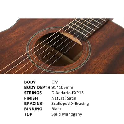 Parkwood S22M OM Body Acoustic Guitar - Mahogany image 2
