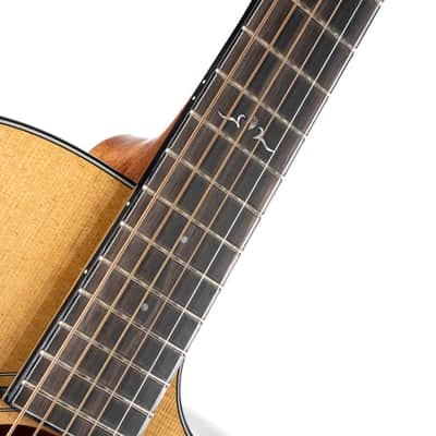 Cort Gold-A6 w/Gigbag image 6
