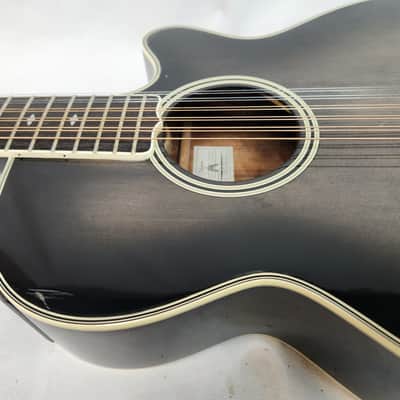 Takamine NPT-110-12 12 String Guitar | Reverb