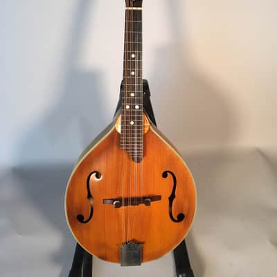 Unicorn Standard Model 1976 Sunburst Shaded image 1
