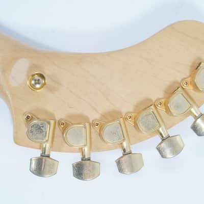 [SALE Ends June 22] Fernandes DIGI-ZO HYPER NOMAD DELUXE Mahogany Built-in Multi-Effects, Amp ZO-3 image 13
