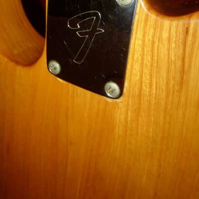 1969 Fender Thinline Telecaster Natural image 9