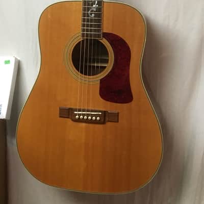 Washburn D95LTD 1995 limited ed. acoustic guitar | Reverb