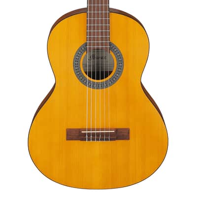 Ibanez SGT110-VS Acoustic Guitar Vintage Sunburst | Reverb