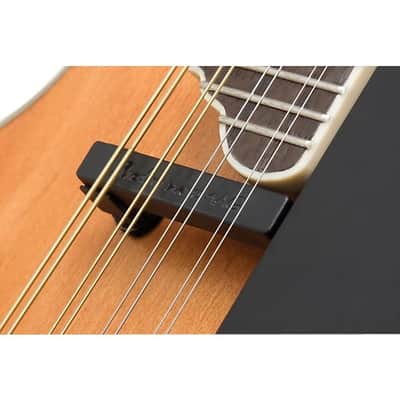 Epiphone MM-50E Professional Mandolin - Natural image 14