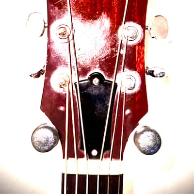 1977 Guild D25m vintage “Raven” image 6