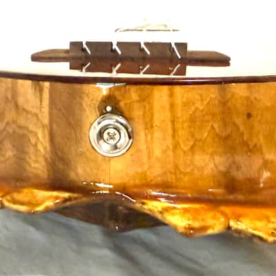 Turtle Shell Tenor Ukulele image 6