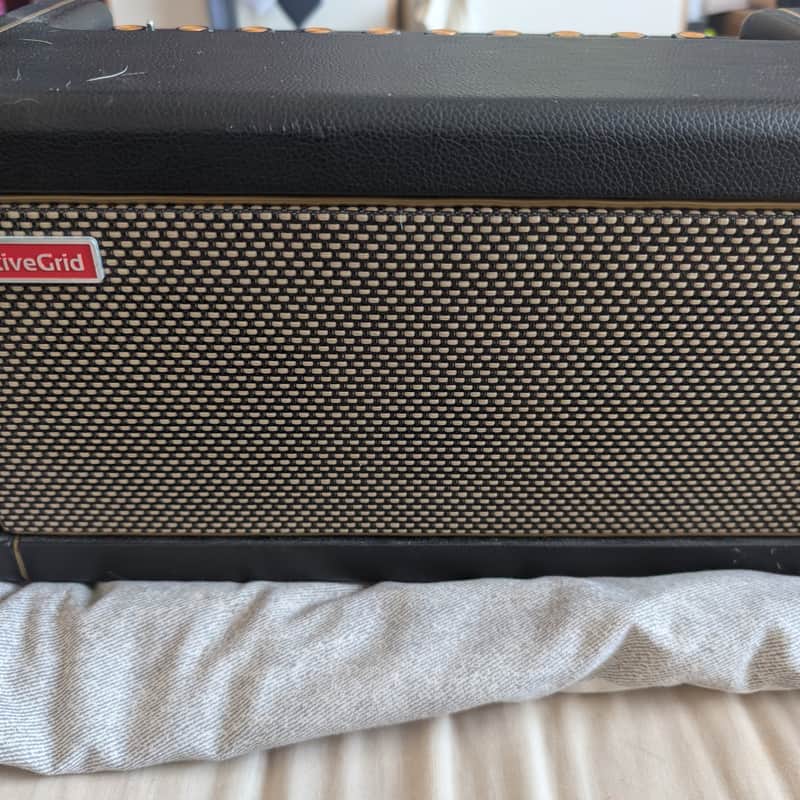 2020 – Present Positive Grid Spark 40 40-Watt 2×4″ Modeling Gu…