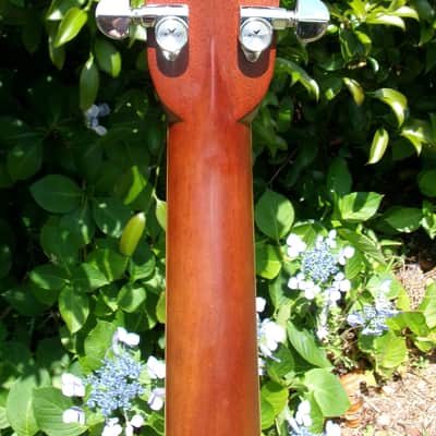 1979 Yairi YW-500P D-35 style + New Gig Bag plus more image 10