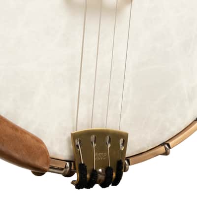 OME Wicklow Irish Tenor Banjo image 3