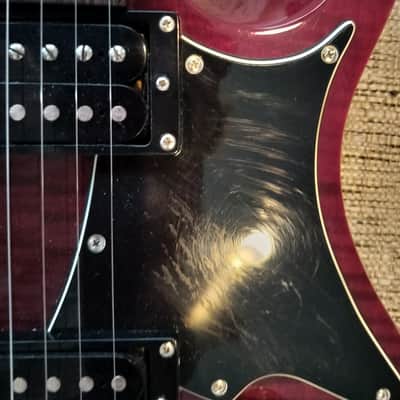 PRS SE Custom Semi-Hollow 2010 image 5