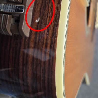 1978 Takamine EF360S image 9