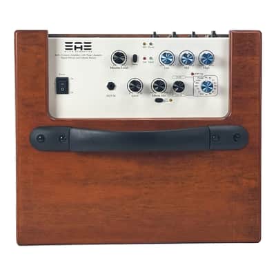 Elite Acoustics EAE A1-8 Compact Rechargeable 80 W Acoustic Amplifier with 3 Chan/LFP Battery WOOD image 6