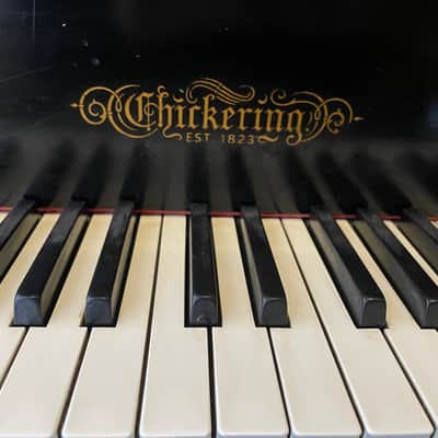 Chickering Grand piano 7foot image 6
