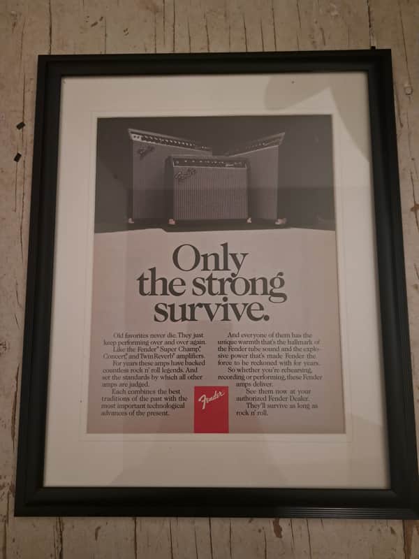 Immagine 1985 Fender Super Champ Advertisement - 1