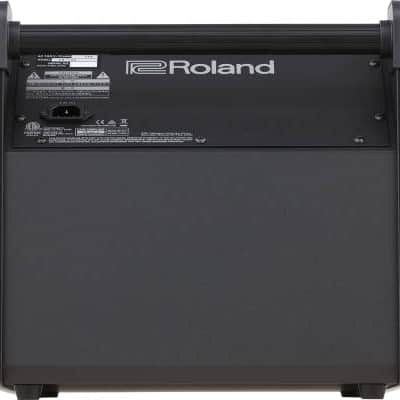 Roland PM-100 image 3