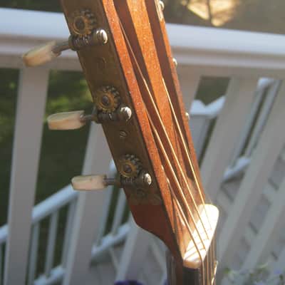 John C. Haynes Bay State Brazilian Rosewood Guitar image 18