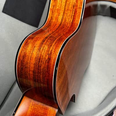 Kepma F2 Solid Top Acoustic Guitar with gig bag image 16