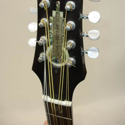 Vintage Acoustic Mandocello Archtop, Vintage Sunburst with Case image 13