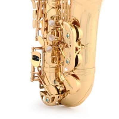 Yanagisawa A-WO1 Professional Alto Saxophone - Lacquer image 2