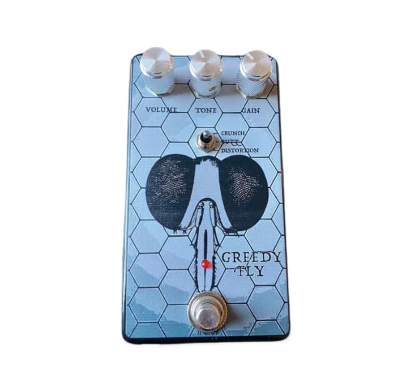 RNRMF Guitar works - Greedy Fly image 1