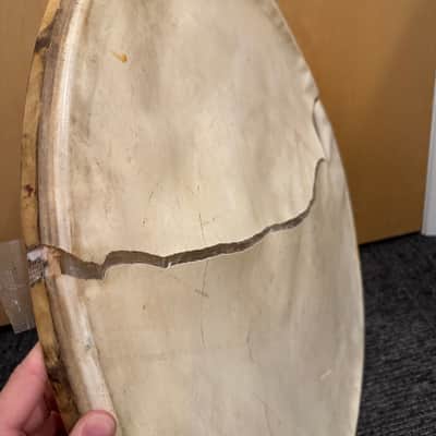Grouping of Vintage Slingerland Calfskin Heads Pairs of 16", 22", 28" (Rm3) image 18