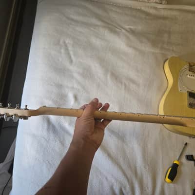2026 Warmoth Telecaster Neck, Stainless Frets LEVELED with Gotoh Tuners INCLUDED, Tusq XL nut cut by Luthier,  Vintage Modern, 59 roundback, 1 11/16" 43mm nut, 10-16" radius. image 7