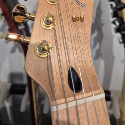 Fender Telecaster Richie Kotzen 2002-2004 - Seafoam Green image 7