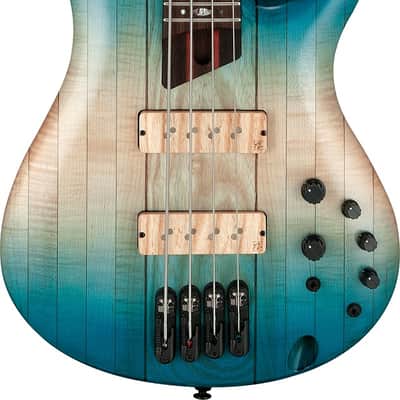 IBANEZ SR4CMLTD 4-Saiter Bass in Caribbean Islet Low Gloss image 3