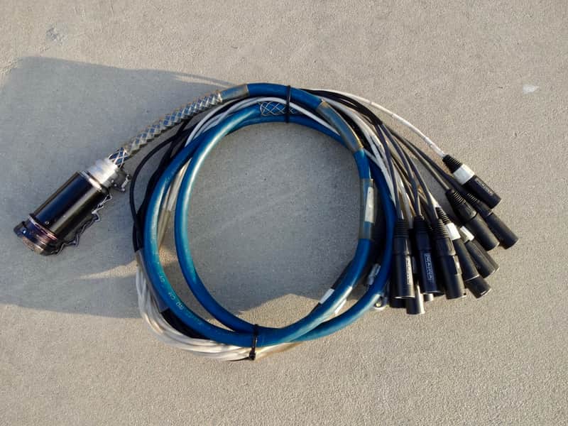 Whirlwind W-2 Fanout 16 Male XLR 2000 Blue image 1