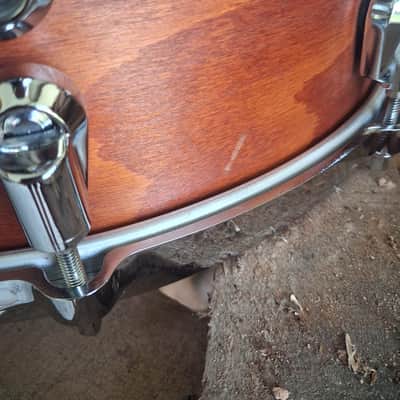 Yamaha 14"x5.5" Beech Custom Absolute 2006 image 5
