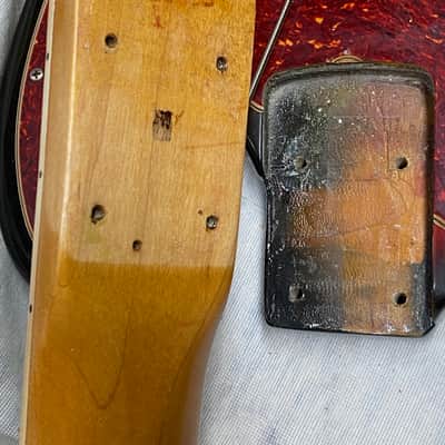 Fender Jazz Bass 1966 - Sunburst Dot/Binding - Super image 15