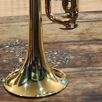Taishan Winds TSTR-801 bB Trumpet Gold Lacquer Over Brass 2020 image 3
