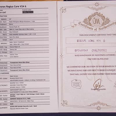 Mayones Regius Core V24 Trans Jeans Blue image 10