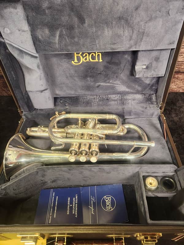 Bach Stradivarius 184 Cornet (Indianapolis, IN) image 1