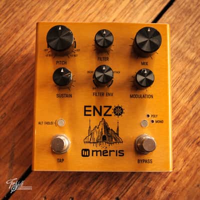 Meris Enzo Synthesizer Pedal image 1