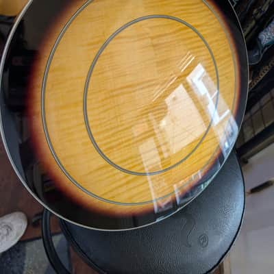 Washburn B16 Five String Banjo Sunburst with Case image 10