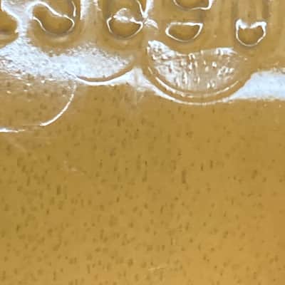 Gibson Les Paul Special 2019 - Present - TV Yellow image 14