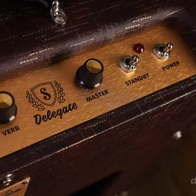 Supro Delegate Custom Combo Bild 7