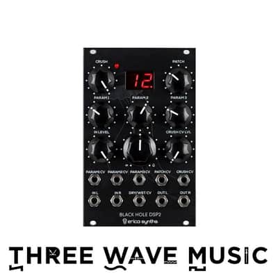 Erica Synths Black Hole DSP2 - Stereo Effects Processor [Three Wave Music] image 1