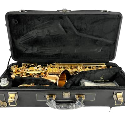 Yanagisawa AWO20UL Unlacquered Bronze Elite Alto Saxophone New In Box! image 1