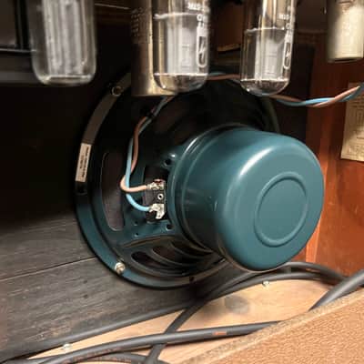 Fender Princeton 1962 Brown, Weber AlNiCo, 220-240 V image 19
