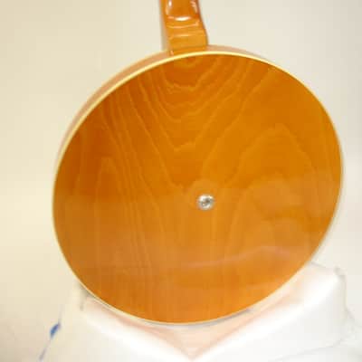 Vintage Hofner German 5-String Banjo image 13