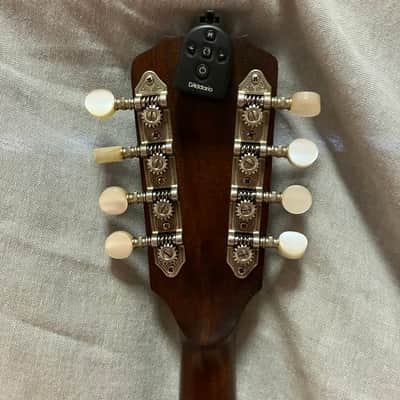Flatiron Mandola model Mola 1CH 1995 - Chocolate brown, satin lacquer image 10
