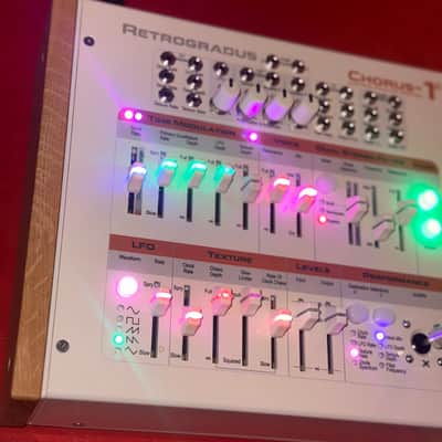 Rare Retrogradus Chorus 1a - Custom One of a Kind image 10