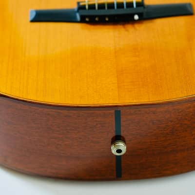 Rare Taylor NS52ce (2003) – Jason Mraz Spec – USA Made – Fishman image 21