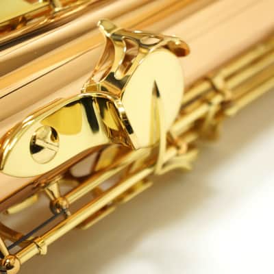 【Special price】 Yanagisawa T-WO2[TWO2] Bronze Tenor Saxophone image 18